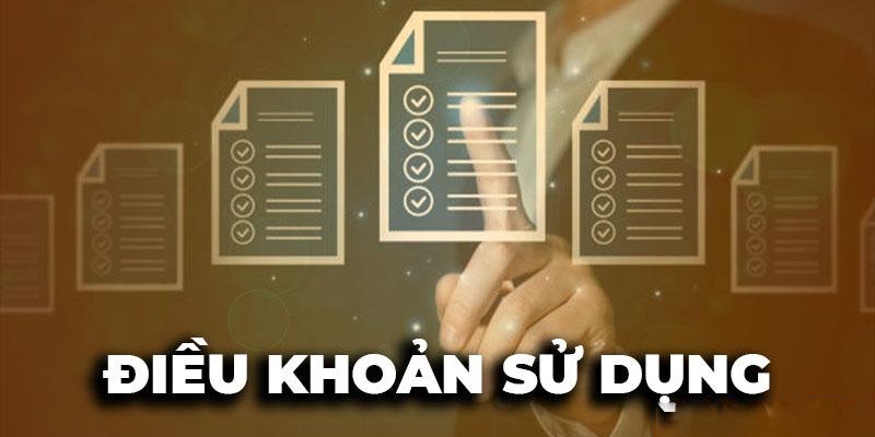 Điều quản sử dụng là nội dung thông tin rất quan trọng