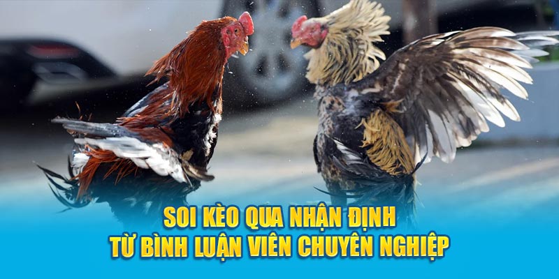 Soi kèo qua nhận định từ bình luận viên chuyên nghiệp 